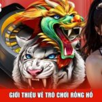 Giới thiệu về trò chơi rồng hổ