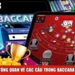 Tổng quan về các cầu trong Baccarat