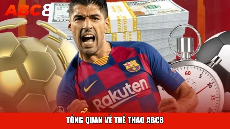 Tổng quan về thể thao ABC8